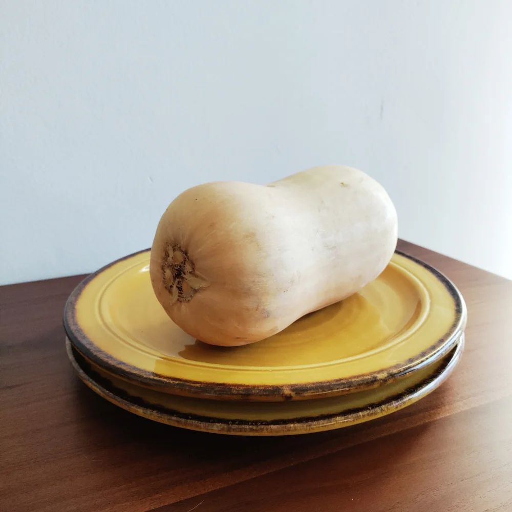 Crate&Barrel Mustard Yellow Dinner Plates